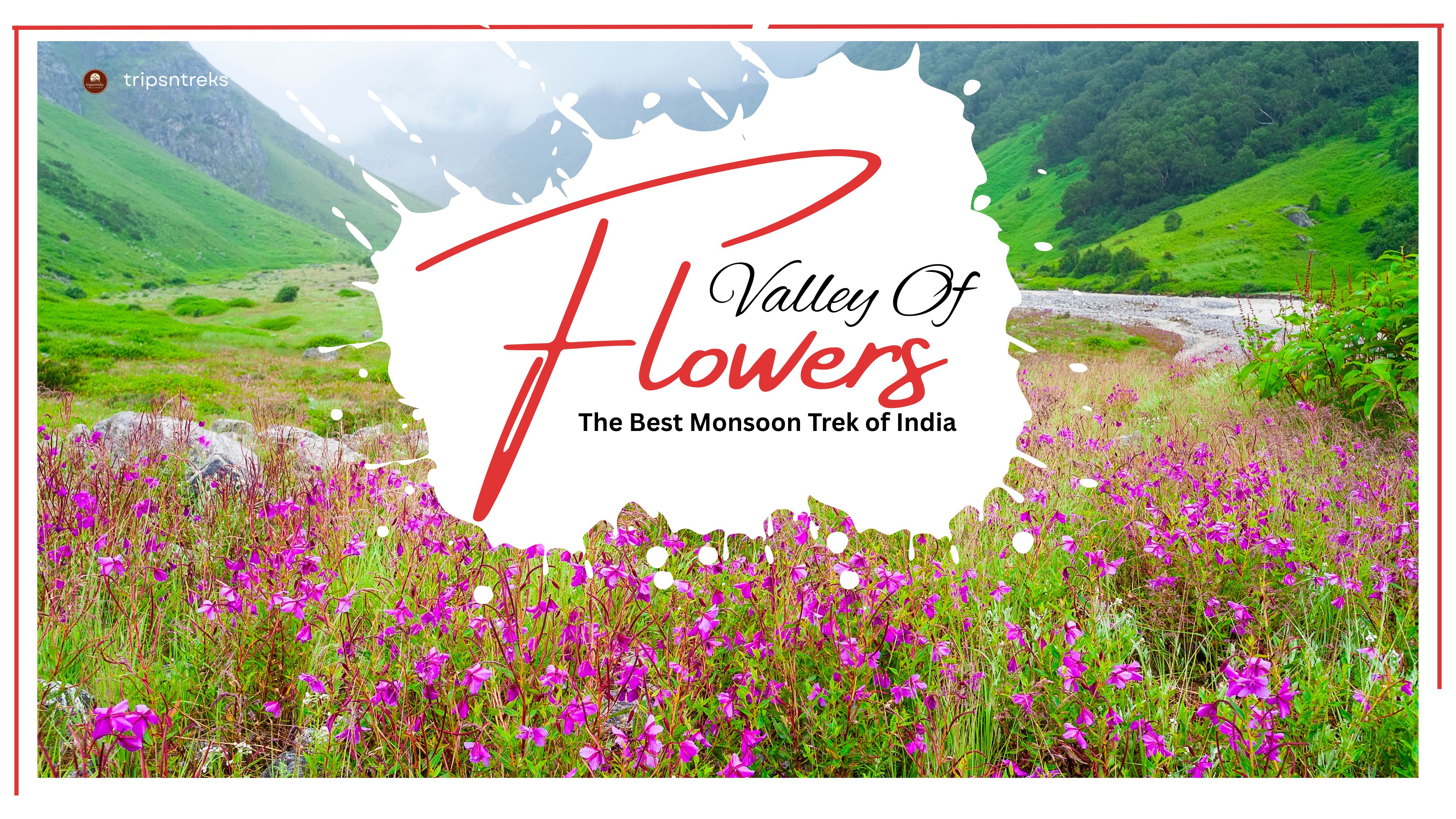 Valley of Flowers – A Himalayan Paradise